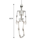 Halloween Realistic Full Body Skeleton Prop Decoration Posable Joints