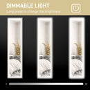 HOMCOM Dimming Full Length Mirror w/ Lights Standing Leaning Wall Mount