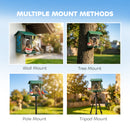 PawHut Smart Bird Feeder Camera With AI Identifies 16,000+ Bird Species