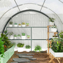 Outsunny Walk-in Tunnel Greenhouse, Upgraded Structure, Mesh Door & Windows
