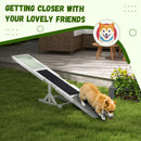 PawHut Wooden Pet Seesaw for Big Dogs with Anti-Slip Surface