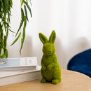 Lifeideas Seasonal Whimsical Garden Bunny Ornament