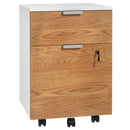 HOMCOM 2 Drawer Filing Cabinet with Adjustable Hanging Bars for A4 and Letter