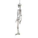 Halloween Realistic Full Body Skeleton Prop Decoration Posable Joints