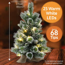 Christmas Sparkle Pre Lit Winter Berry Frosted Table Tree 2ft in Hession Bag