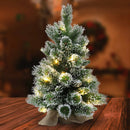 Christmas Sparkle Pre Lit Winter Berry Frosted Table Tree 2ft in Hession Bag