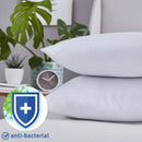 Silent Night Anti-Allergy Cotton Fresh Pillows Pack of 2