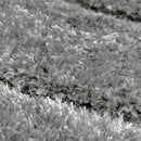 Lewis's Home Fresno Wave Rugs - Grey