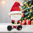 Dancing Santa Claus with Music