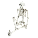 Halloween Realistic Full Body Skeleton Prop Decoration Posable Joints