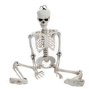 Halloween Realistic Full Body Skeleton Prop Decoration Posable Joints