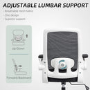 HOMCOM Mesh Desk Chair with Tilt Function, Lumbar Support