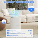HOMCOM 20L/Day Dehumidifier With Continuous Drainage, 5L Water Tank, Timer