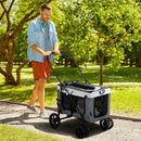 PawHut Foldable Pet Stroller w/ Detachable Carrier, Soft Padding