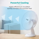 Tower Presto Desk Fan 12"  - White
