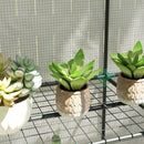 Outsunny 3 Tier Lean-to Mini Greenhouse with Hemmed Edging, White
