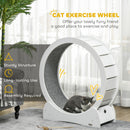 PawHut Cat Treadmill, 30 Inch Wooden Cat Running Wheel With Brake, White
