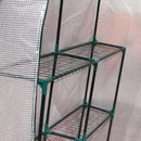 Outsunny Greenhouse for Outdoor w/ 2 Tier Shelf Roll-Up Zippered Door PE Cover Green