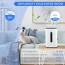 HOMCOM 20L/Day Quiet Air Dehumidifier with Purifier, Timer, for Home Laundry