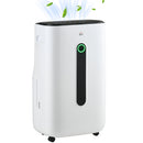 HOMCOM 20L/Day Quiet Air Dehumidifier with Purifier, Timer, for Home Laundry