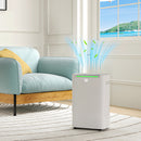HOMCOM 20L/Day Dehumidifier For Home Damp, With 24H Timer, White