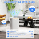 HOMCOM 20L/Day Dehumidifier For Home Damp, With 24H Timer, White