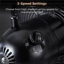 Tower Cavaletto Desk Fan 12"  - Black