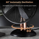Tower Cavaletto Desk Fan 12"  - Black