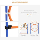 PawHut 8 Piece Dog Agility Equipment Set, Outdoor Agility Kit for Pet, Orange