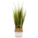 Wild Grass In A Wicker Basket