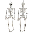 Halloween Realistic Full Body Skeleton Prop Decoration Posable Joints