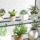 Outsunny 4 Tier Lean-to Mini Greenhouse with Reinforced PE Cover