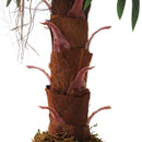 Garden Sanctuary Artificial Potted Plant Palm Tree for Home Decoration