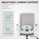 HOMCOM Mesh Desk Chair with Tilt Function, Lumbar Support