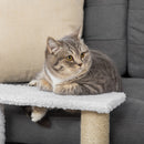 PawHut Pet Stair with 3-step Climb Ladder, Scratching Posts, White