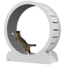 PawHut Cat Treadmill, 39.4 Inch Wooden Cat Running Wheel With Brake, White