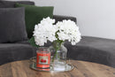 Homestead Candle 18oz Glass Jar Bubble Lid - Strawberry
