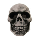 Halloween Light Up Hollow Skull