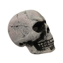 Halloween Light Up Hollow Skull