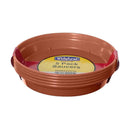 Set of 5 Terracotta Pot Saucers