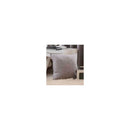 Sorbonne Silver Cushion