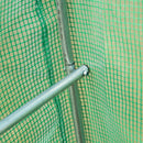 4m x 2m Walk-in Tunnel Greenhouse with Windows and Door