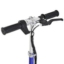 ALPINE SPIRIT Kids Electric Ride On eScooter 2x12v 120W - Blue