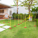 PawHut Outdoor 3 PC Dog Pet Agility Training Garden Starter Obstacle Set for Dog