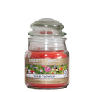 Homestead Candle  3oz Glass Jar Bubble Lid Wild Flower