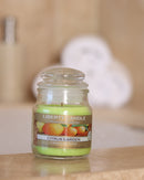 Homestead Candle  3oz Glass Jar Bubble Lid - Citrus Garden
