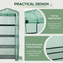 Outsunny Mini Greenhouse 4-Tier Portable Plant House Shed PE Cover, Green