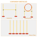 PawHut Outdoor 3 PC Dog Pet Agility Training Garden Starter Obstacle Set for Dog