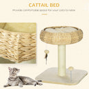 PawHut 51cm Cat Activity Centre w/ Top Bed, Toy Ball, Sisal Scratching Post