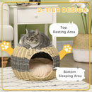 PawHut Wicker Cat House, Rattan Raised Cat Bed w/ Soft Cushion, ?40 x 30cm